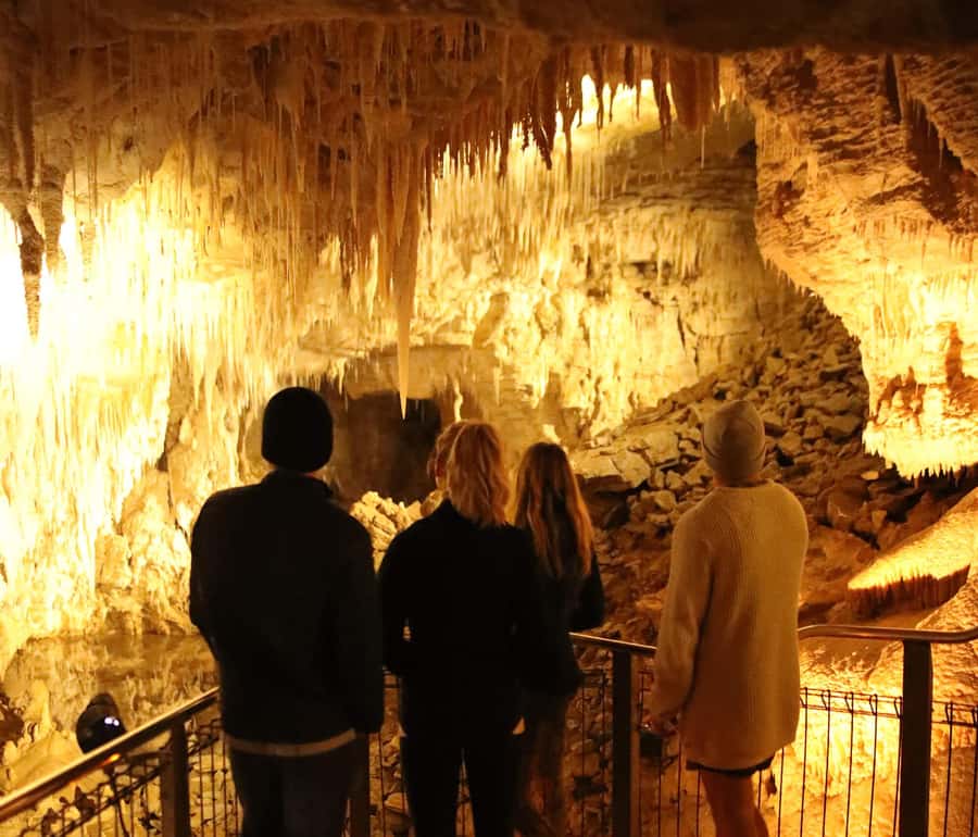 From Auckland: Hobbiton & Waitomo Caves Full-Day Trip - Practical advice before you book
