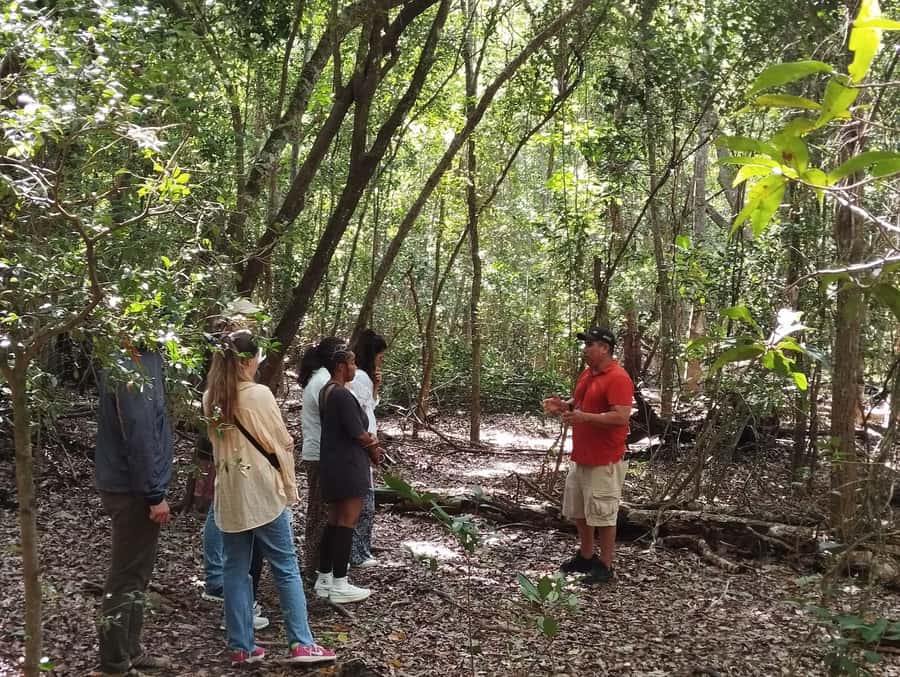 From Bacalar: Calakmul Ruins Expedition & Jungle Trek - Who should book, and who should think twice