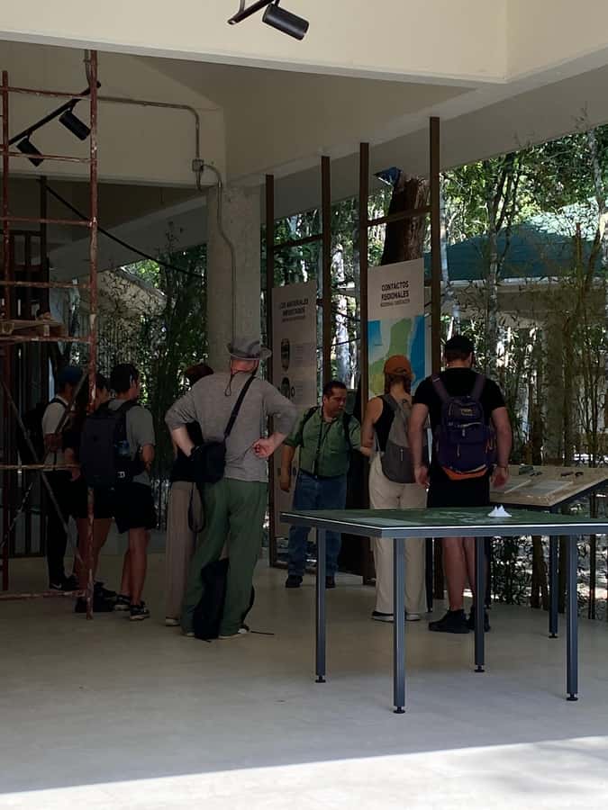 From Bacalar: Calakmul Ruins Expedition & Jungle Trek - Practical packing advice for a forest ruin day