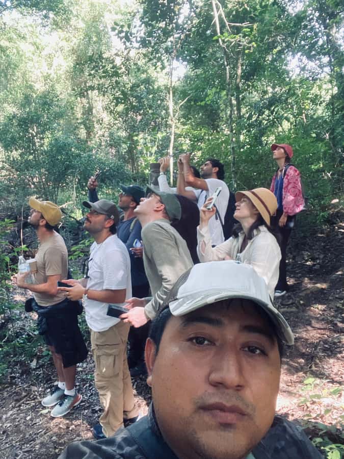 From Bacalar: Calakmul Ruins Expedition & Jungle Trek - Walking through the Calakmul Biosphere Reserve
