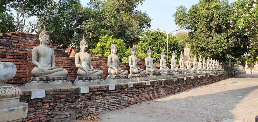 From Bangkok: Ayutthaya & Khao Yai National Park Day Trip - Why combine Ayutthaya and Khao Yai in one day?