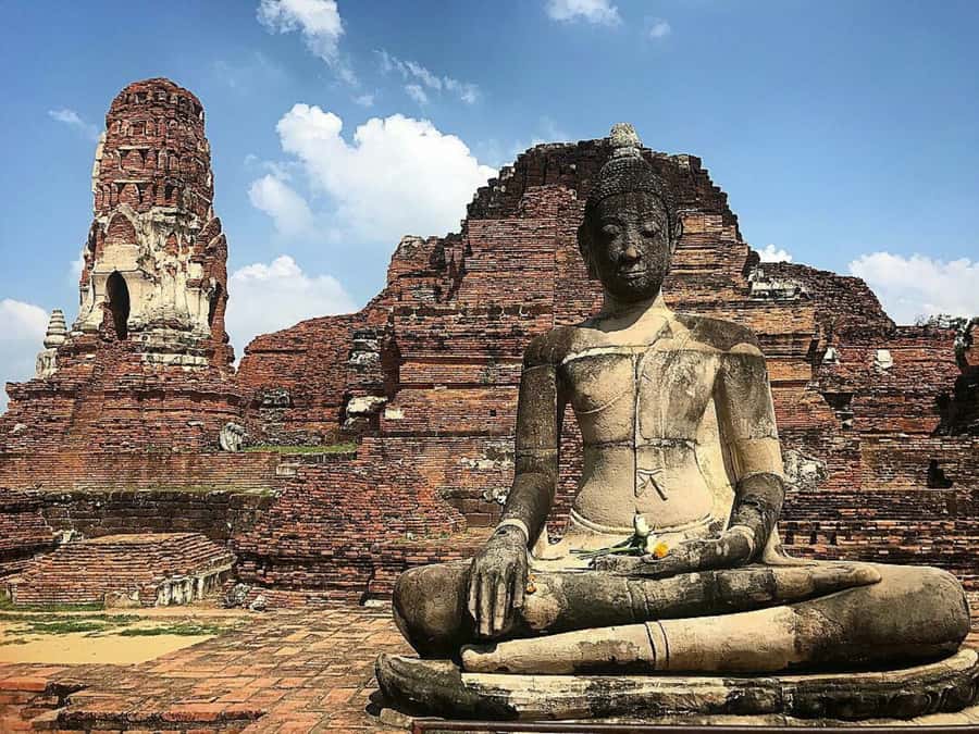 From Bangkok: Ayutthaya & Khao Yai National Park Day Trip - Wat Mahathat and the Buddha beneath the banyan tree