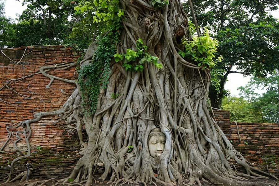 From Bangkok: Ayutthaya & Khao Yai National Park Day Trip - Starting from Bangkok and settling into the van