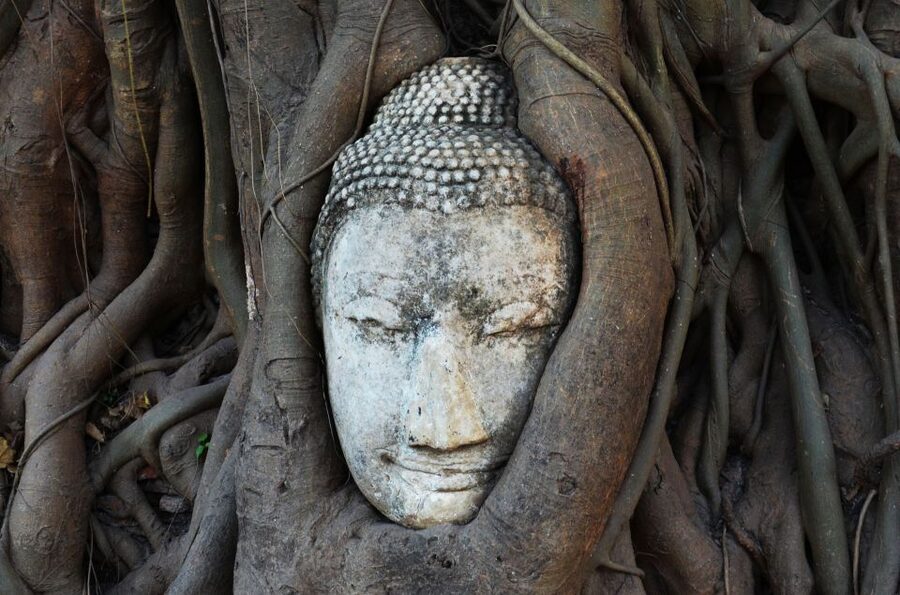 From Bangkok: Floating Market & Ayutthaya Private Day Trip - Who should book this experience?