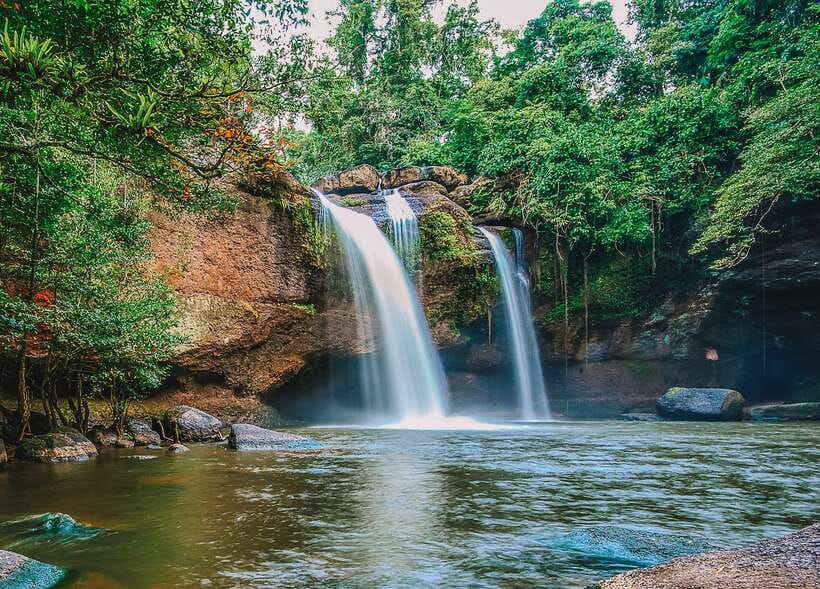 From Bangkok: Khao Yai National Park Small-Group Day Trip - Wildlife: What You Might Actually See