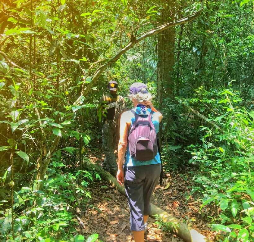 From Bangkok: Khao Yai National Park Small-Group Day Trip - Walking the KM 33 Nong Phak Chi Trail