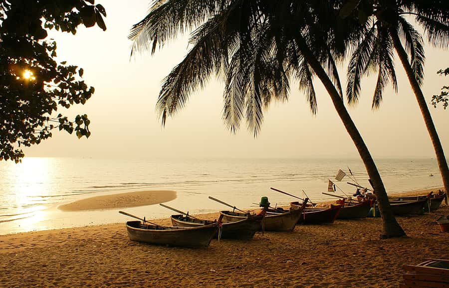 From Bangkok: Pattaya Private Customizable Day Trip - Nong Nooch Tropical Garden and the Floating Market