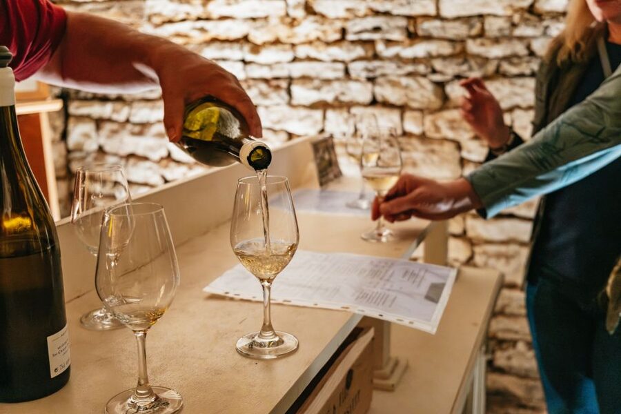 From Beaune: Burgundy Day Trip with 14 Wine Tastings - From Beaune to the first tasting