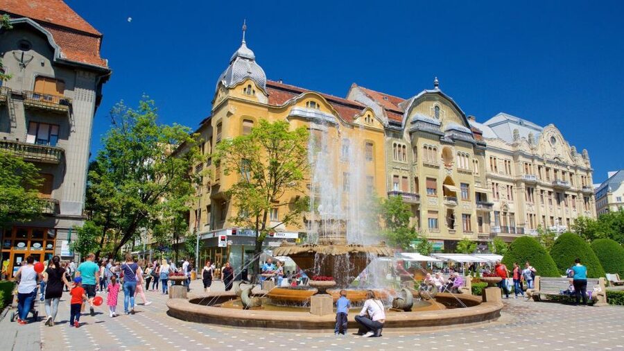 From Belgrade: Private Day Trip to Romania - The private drive from Belgrade to Romania
