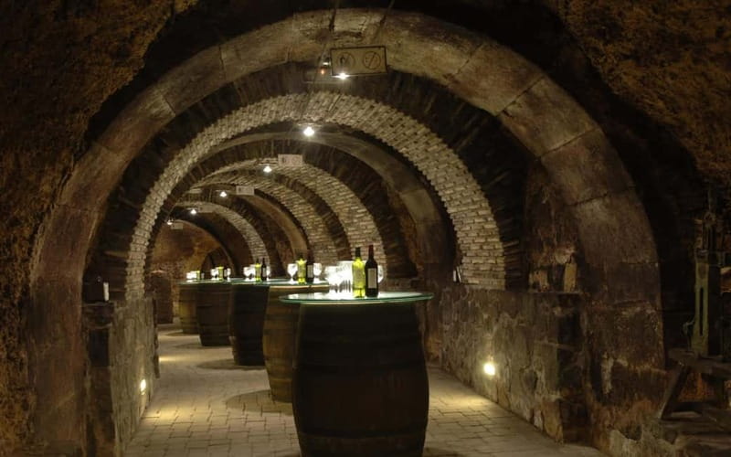 From Bilbao: La Rioja Wineries Day Trip with Wine Tastings - Laguardia, medieval lanes, and a small family cellar