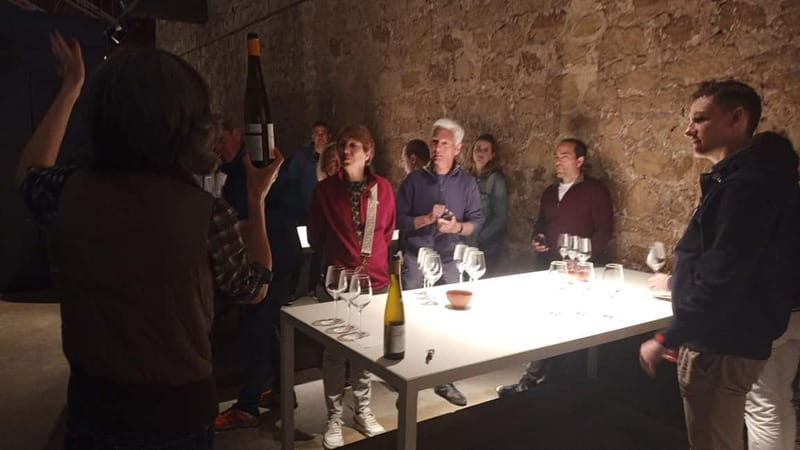 From Bilbao: La Rioja Wineries Day Trip with Wine Tastings - Who should book this Rioja tour?