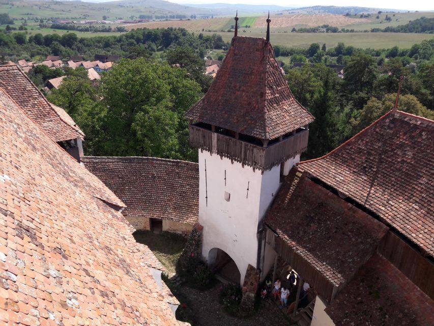 From Brasov: Sighisoara, Viscri, and Rupea Unesco Day Trip - Guides who add value between the stops