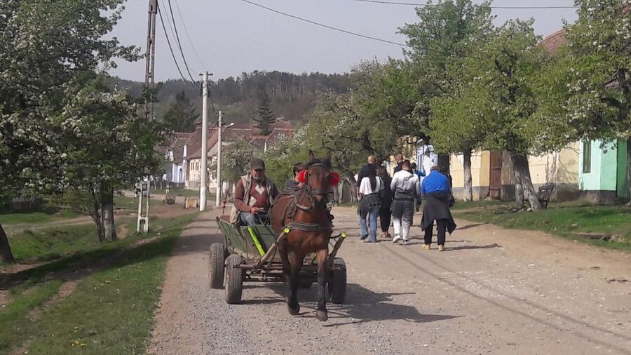 From Brasov: Sighisoara, Viscri, and Rupea Unesco Day Trip - Is $138 good value?