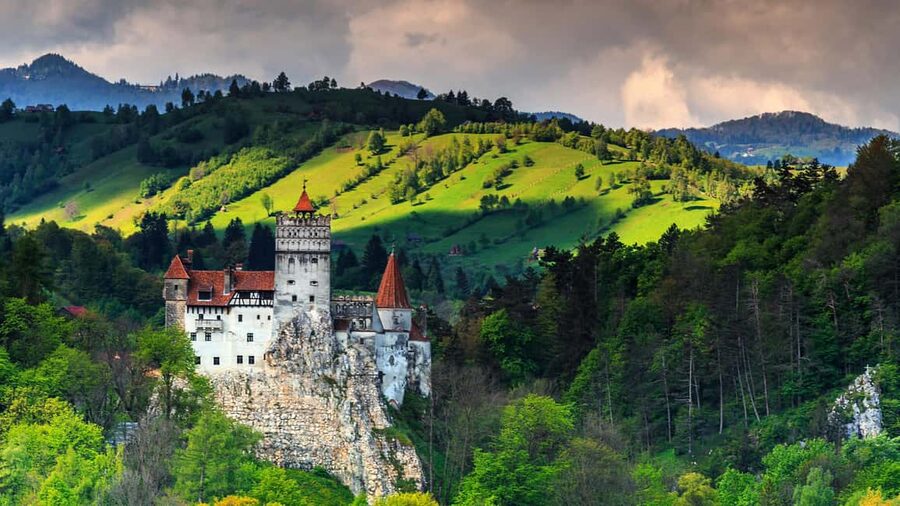 From Bucharest: Castles, Carpathians, and Brașov Day Trip - Who should book this experience?