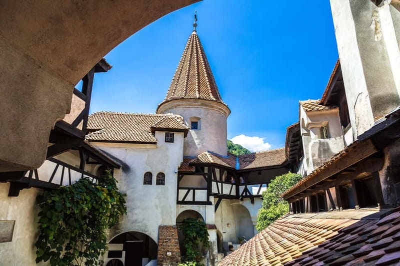 From Bucharest: Peles Castle, Brasov & Bran Castle Day Trip - Price, tickets, and overall value