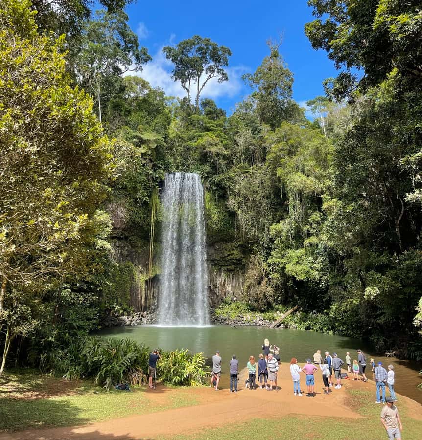 From Cairns: Atherton Tablelands and Paronella Park Day Trip - Yungaburra and the Curtain Fig Tree