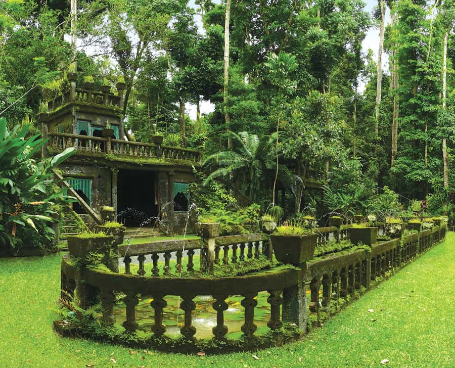 From Cairns: Atherton Tablelands and Paronella Park Day Trip - Lunch and the long descent through Mamu country