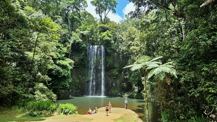 From Cairns: Atherton Tablelands and Paronella Park Day Trip - Climbing from Cairns into the Atherton Tablelands