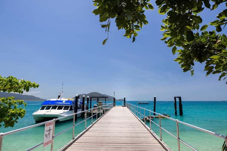 From Cairns: Fitzroy Island Day Trip by Ferry - Key points to know before you go