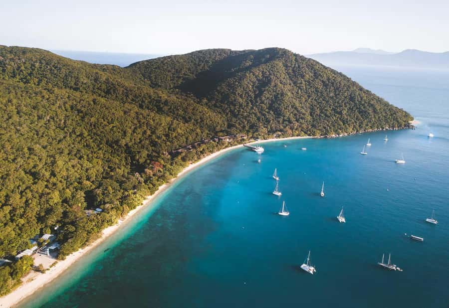 From Cairns: Fitzroy Island Day Trip by Ferry - The 8:00 AM ferry from Cairns
