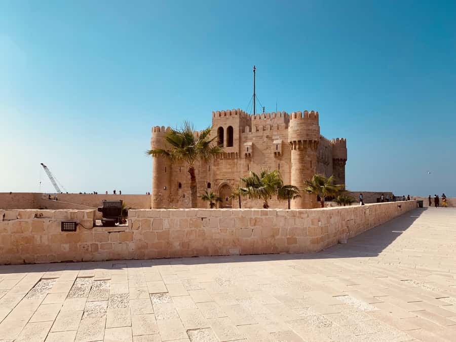 From Cairo: Private Luxurious Day Trip to Alexandria - Key points to know before booking