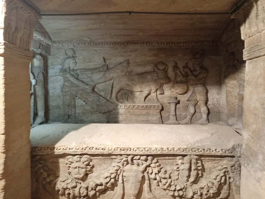 From Cairo: Private Luxurious Day Trip to Alexandria - The Serapeum and Pompey’s Pillar