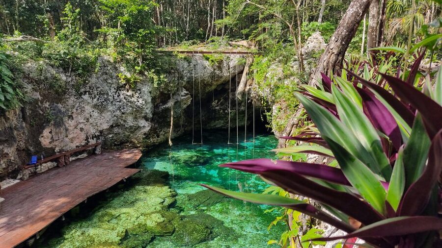 From Cancun: Day Trip to Tulum, Cenote & Playa del Carmen - Playa del Carmen and Quinta Avenida