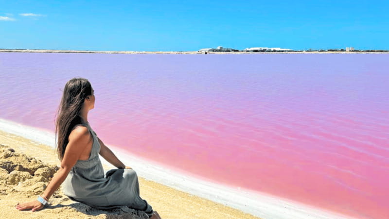 From Cancún: Rio Lagartos & Las Coloradas Day Trip & Lunch - Transport, guides, and the real cost