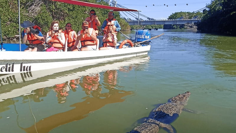 From Cancún: Rio Lagartos & Las Coloradas Day Trip & Lunch - Should you book it?