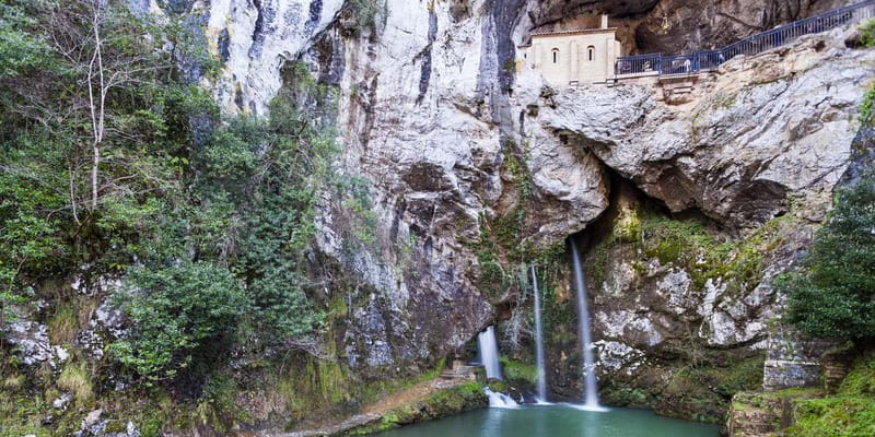 From Cangas de Onis: Covadonga Lakes Guided Day Trip - Why the Covadonga Lakes make a strong half-day trip