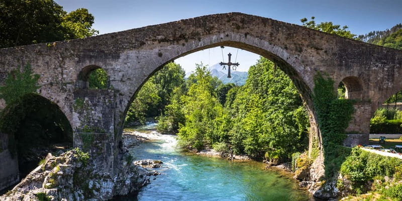 From Cangas de Onis: Covadonga Lakes Guided Day Trip - The guide and language setup