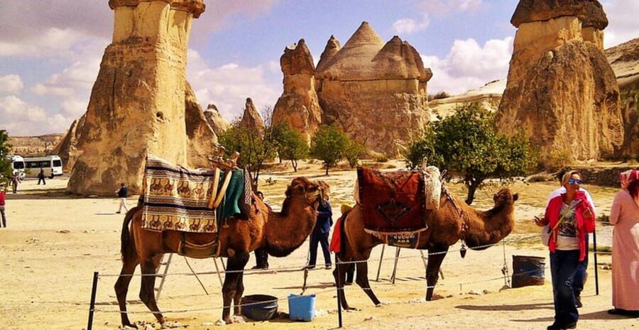 From Cappadocia: Sunrise or Sunset Camel Riding Day Trip - Pickup from Göreme, Avanos, Ürgüp, Nevşehir, or Uçhisar