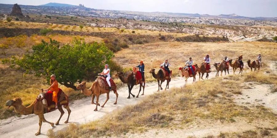 From Cappadocia: Sunrise or Sunset Camel Riding Day Trip - What the camel ride itself feels like