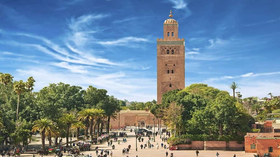 From Casablanca: Day Trip to Marrakech with Camel Ride - A long but efficient road from Casablanca
