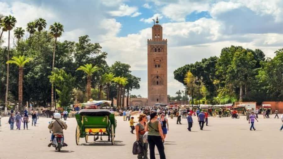 From Casablanca: Day Trip to Marrakech with Camel Ride - Lunch, Gueliz, and the ride back