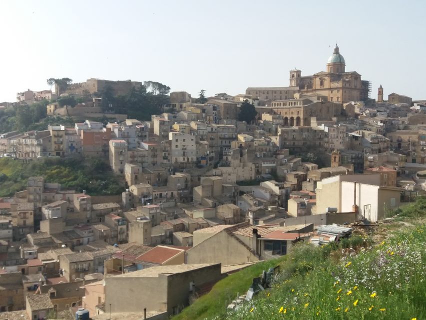 From Catania: Agrigento and Piazza Armerina Full-Day Trip - Who should choose this day trip