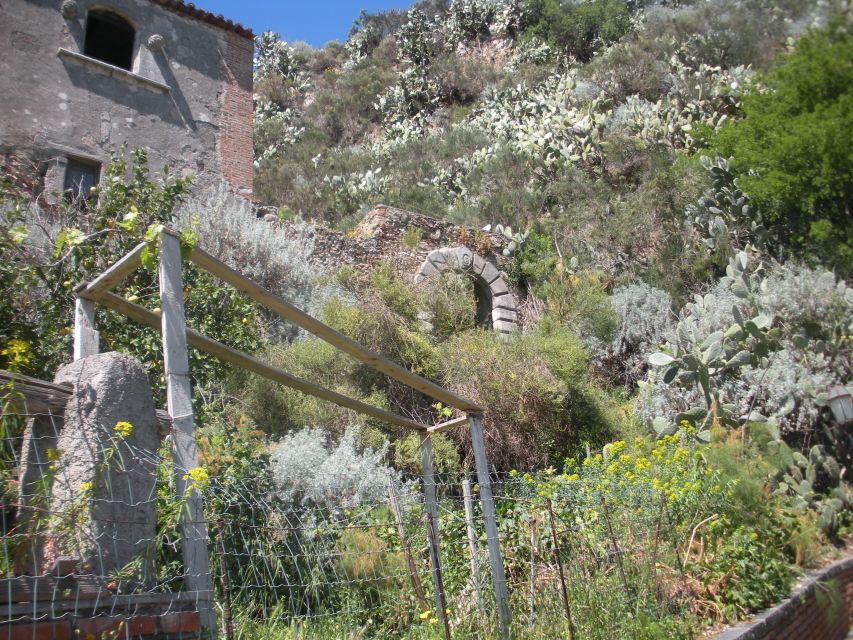 From Catania: The Godfather Movie Day Trip in Sicily - Should you book it?