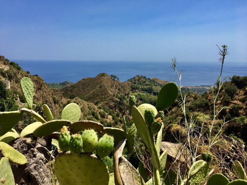 From Catania: The Godfather Movie Day Trip in Sicily - What the guides add to the experience