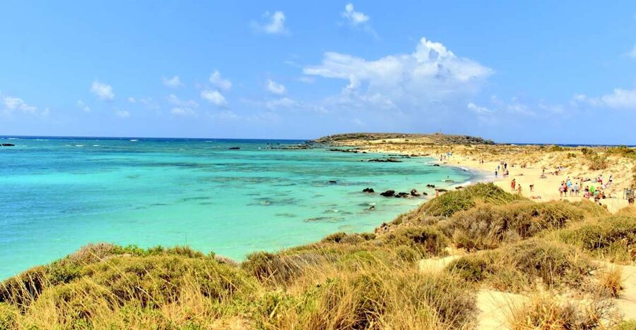 From Chania Area: Day Trip to Elafonisi Island by Bus - Key points to know before you book