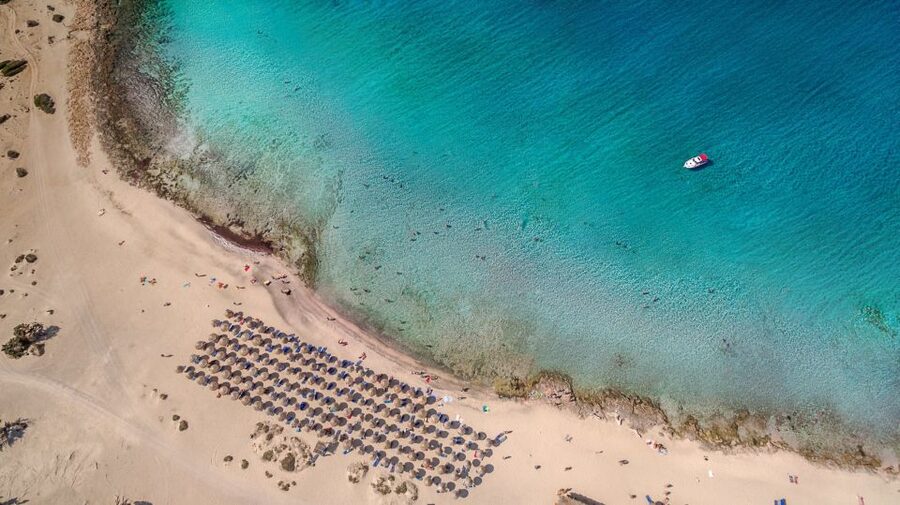 From Chania Area: Day Trip to Elafonisi Island by Bus - Is $43 a good value?