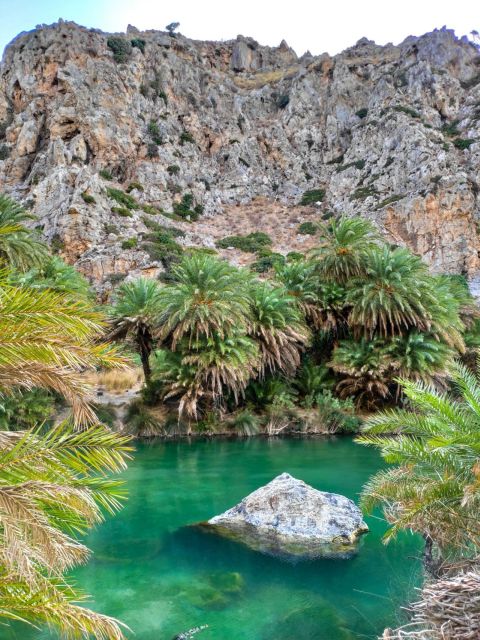 From Chania: Day Trip to Preveli Beach & Damnoni Beach - Key points to know before booking