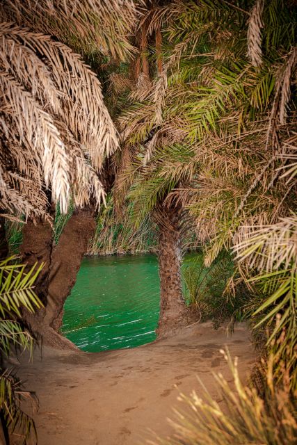 From Chania: Day Trip to Preveli Beach & Damnoni Beach - Your 2.5 hours at Preveli