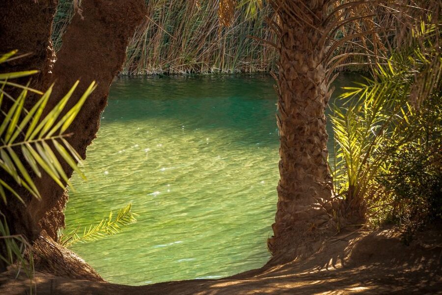 From Chania: Day Trip to Preveli Beach & Damnoni Beach - Plakias gives the day a practical finish