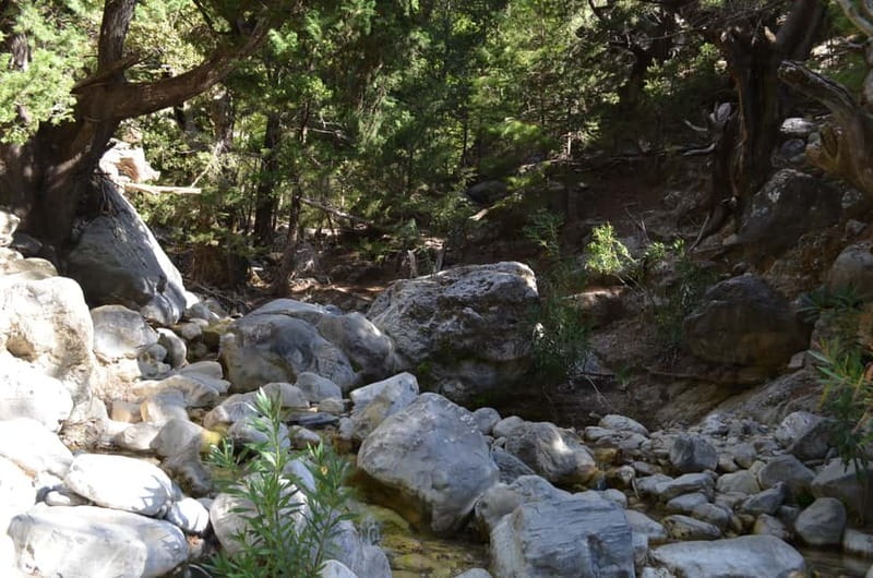 From Chania/Kalyves: Full-Day Samaria Gorge Hiking Day Trip - Who should book this Samaria Gorge day trip?