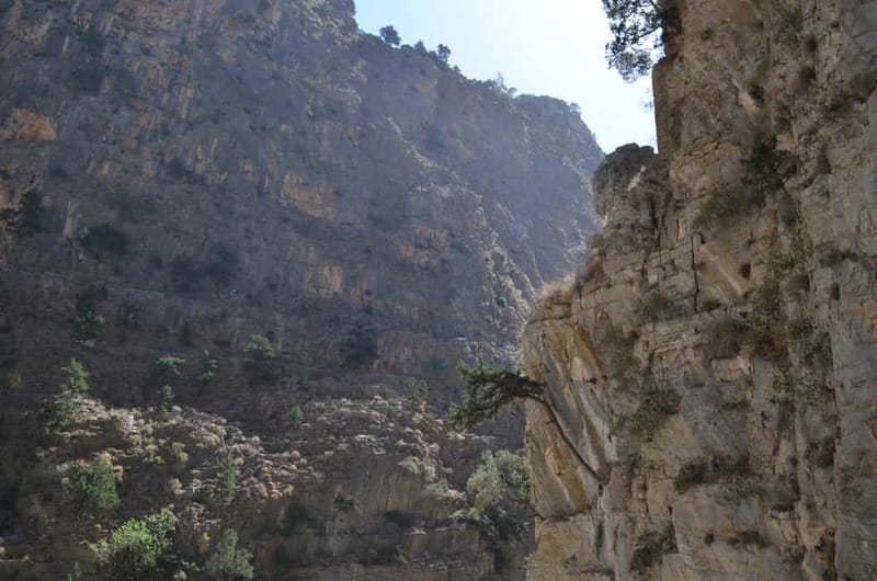 From Chania/Kalyves: Full-Day Samaria Gorge Hiking Day Trip - Why Samaria Gorge is worth the long day