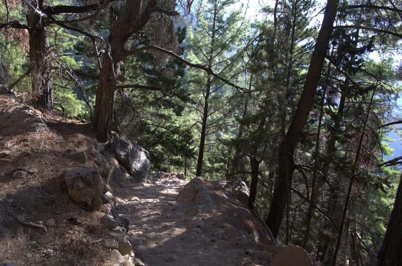 From Chania/Kalyves: Full-Day Samaria Gorge Hiking Day Trip - Four to six hours among rock, springs, and kri-kri