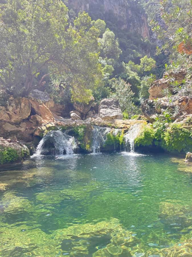 From Chefchaouen: Full-Day Trip to Akchour Waterfalls - Natural pools and a possible monkey sighting