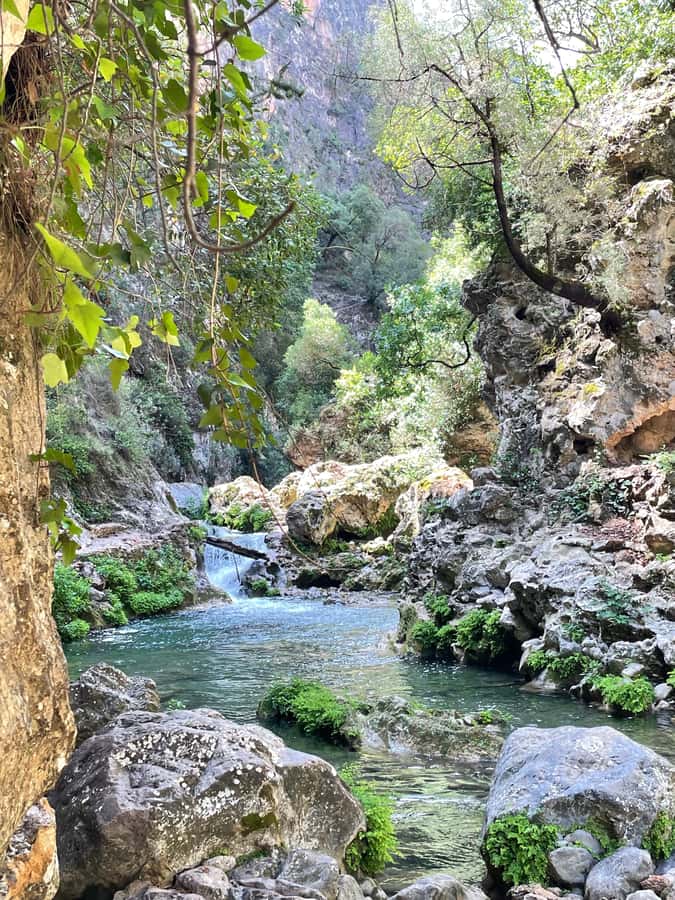 From Chefchaouen: Full-Day Trip to Akchour Waterfalls - What the private guide adds
