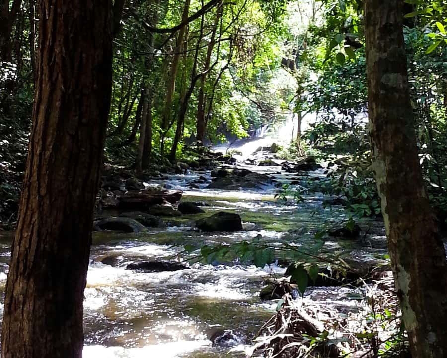 From Chiang Mai: Doi Inthanon National Park Day Trip & Hike - Key points at a glance