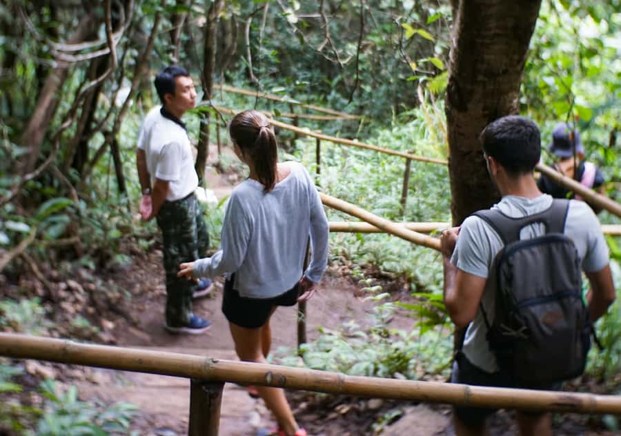 From Chiang Mai: Doi Inthanon National Park Day Trip & Hike - Twin pagodas with room for views and photos